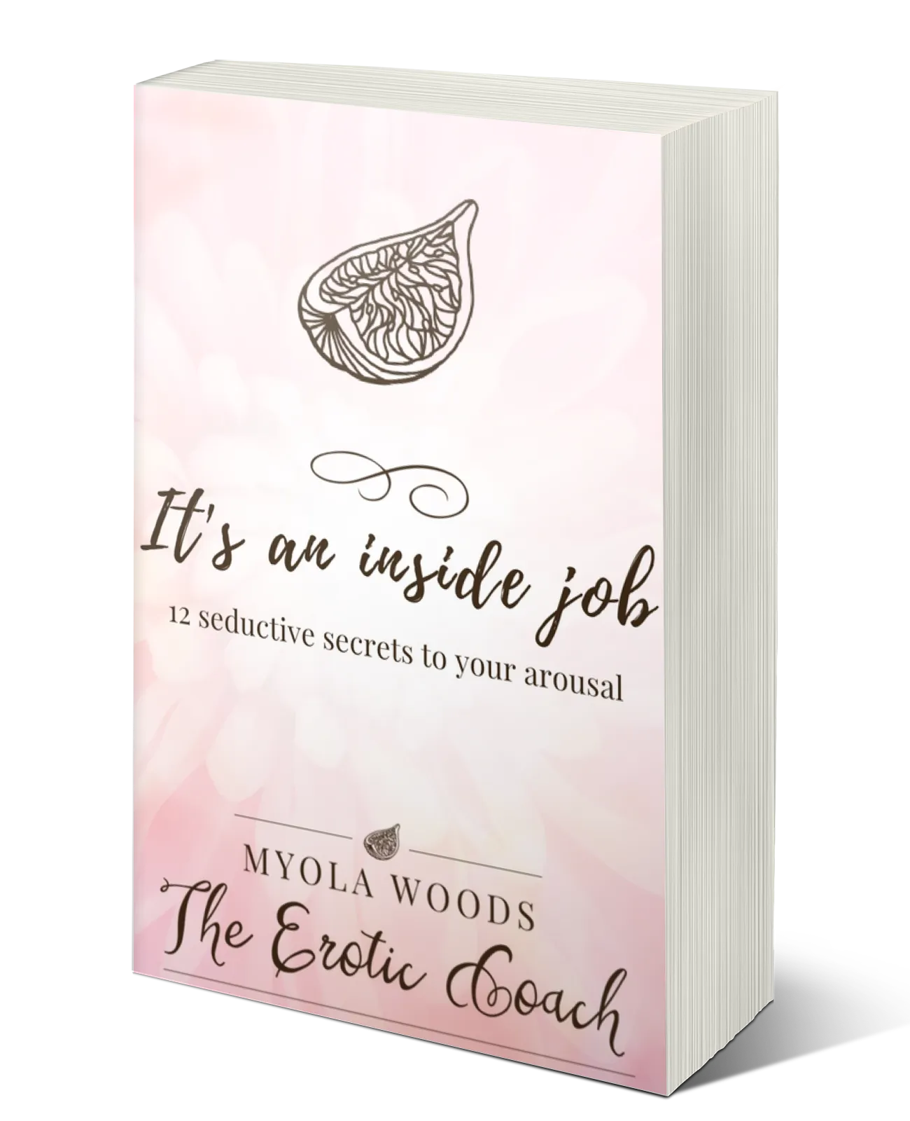 Cover of It's an inside job - Paperback